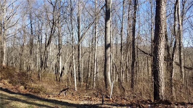 999 Bee Balm Way - Photo 1