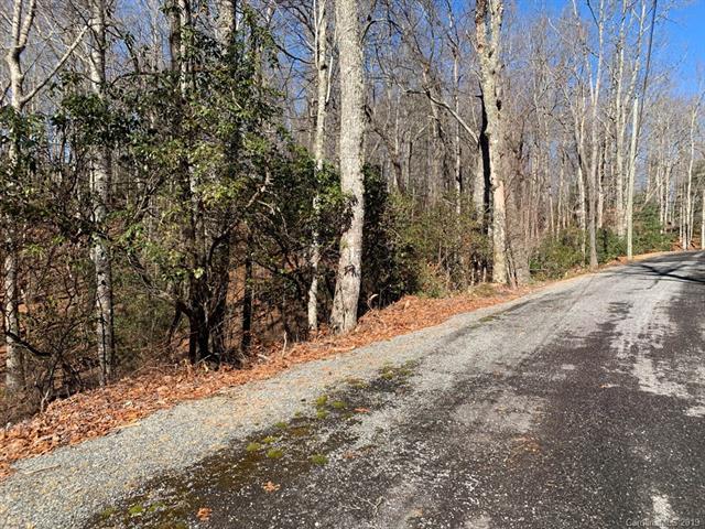 8 Lot Pkg Galax Lane - Photo 1