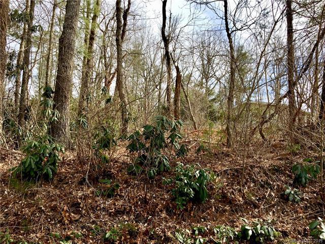 TBD Whitaker Road - Photo 1
