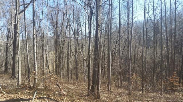 999 Bee Balm Way - Photo 1
