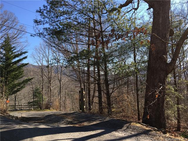 39 Flat Top Mountain Road - Photo 1