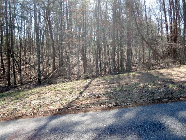 0 Greenfield Lane - Photo 1