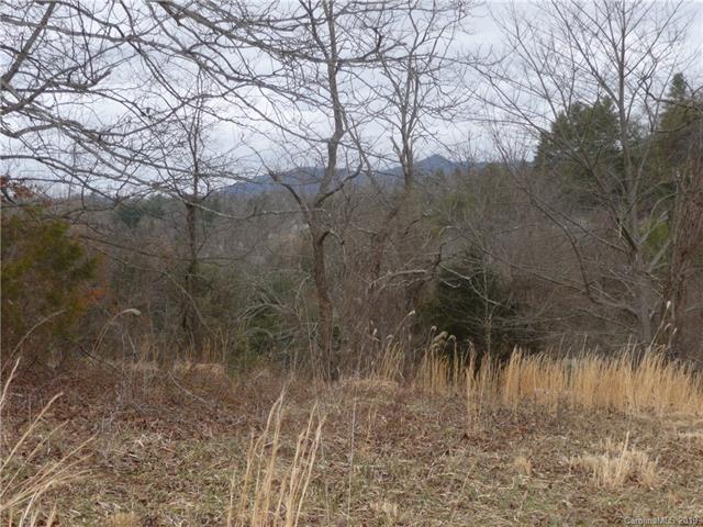 Off Hobson Branch - Photo 1