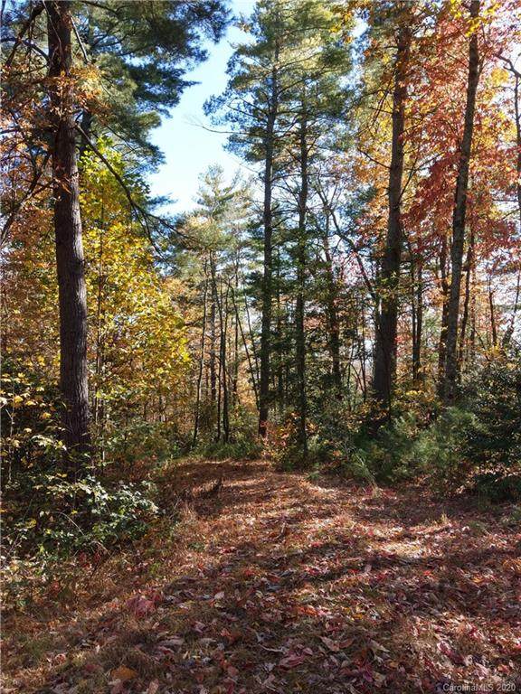 730 Dogwood Drive - Photo 1