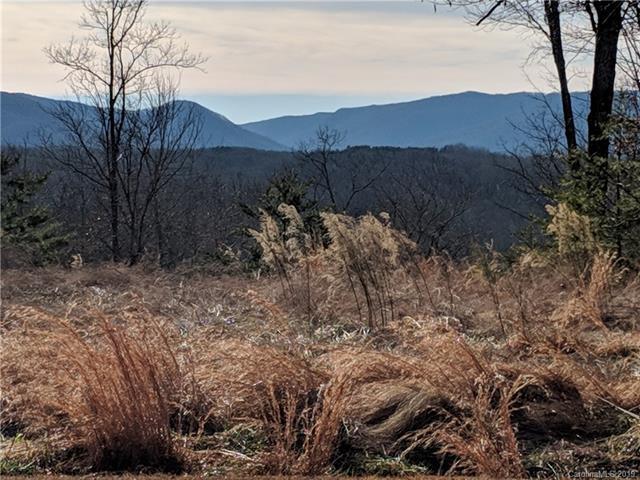 00 Mountain Parkway - Photo 1