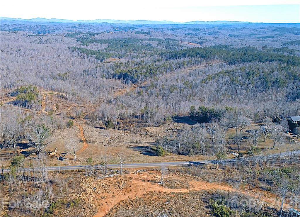 2463 Pea Ridge Road - Photo 1