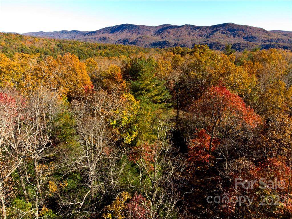 000 Dogwood Lane - Photo 1