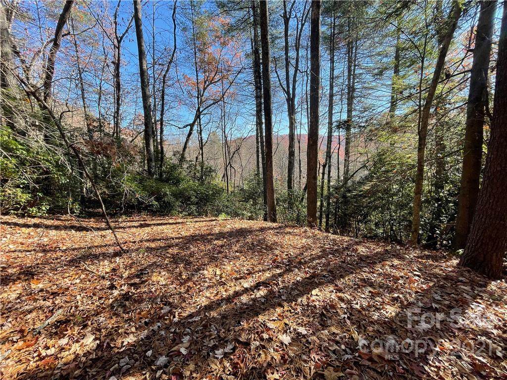 128 Twisted Tree Lane - Photo 1
