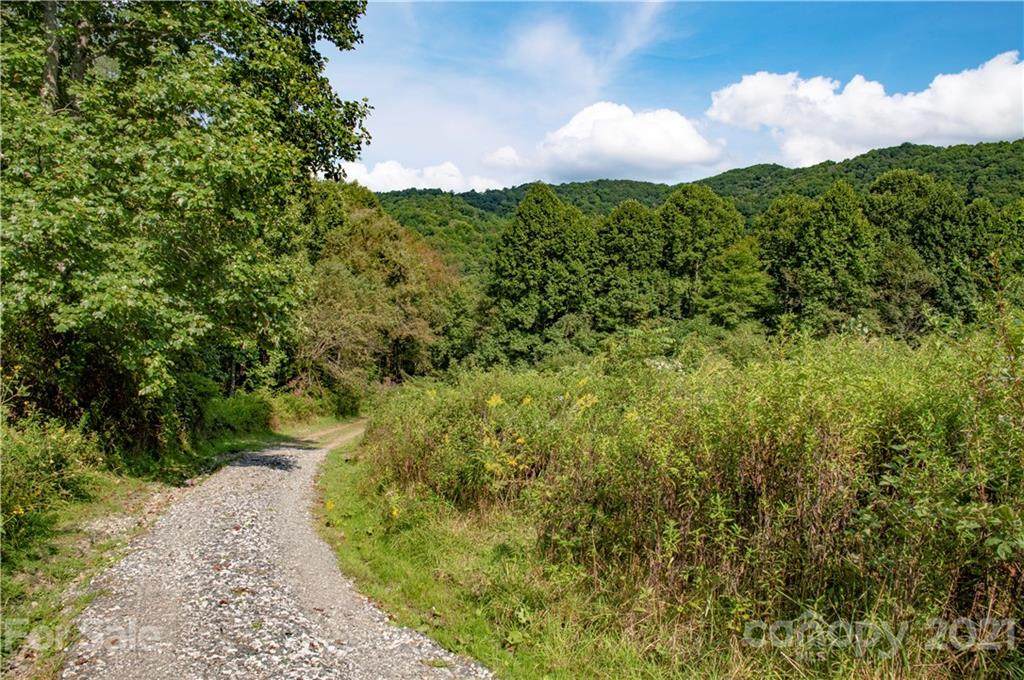 6200 Meadow Fork Road - Photo 1