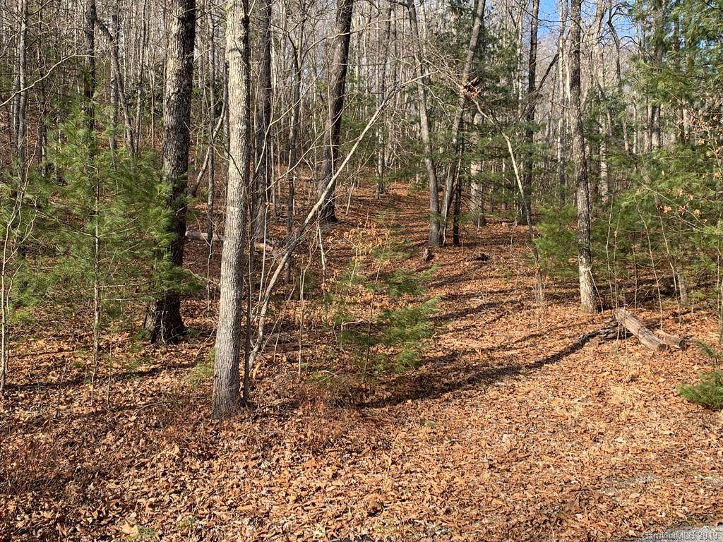 124 Green Hollow Lane - Photo 1
