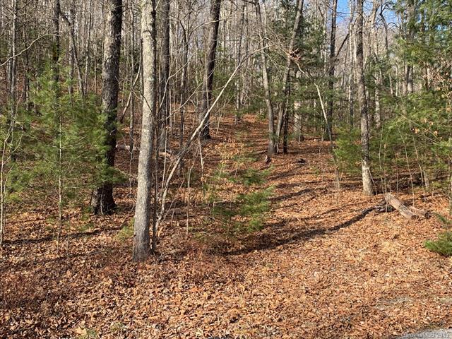 124 Green Hollow Lane - Photo 1