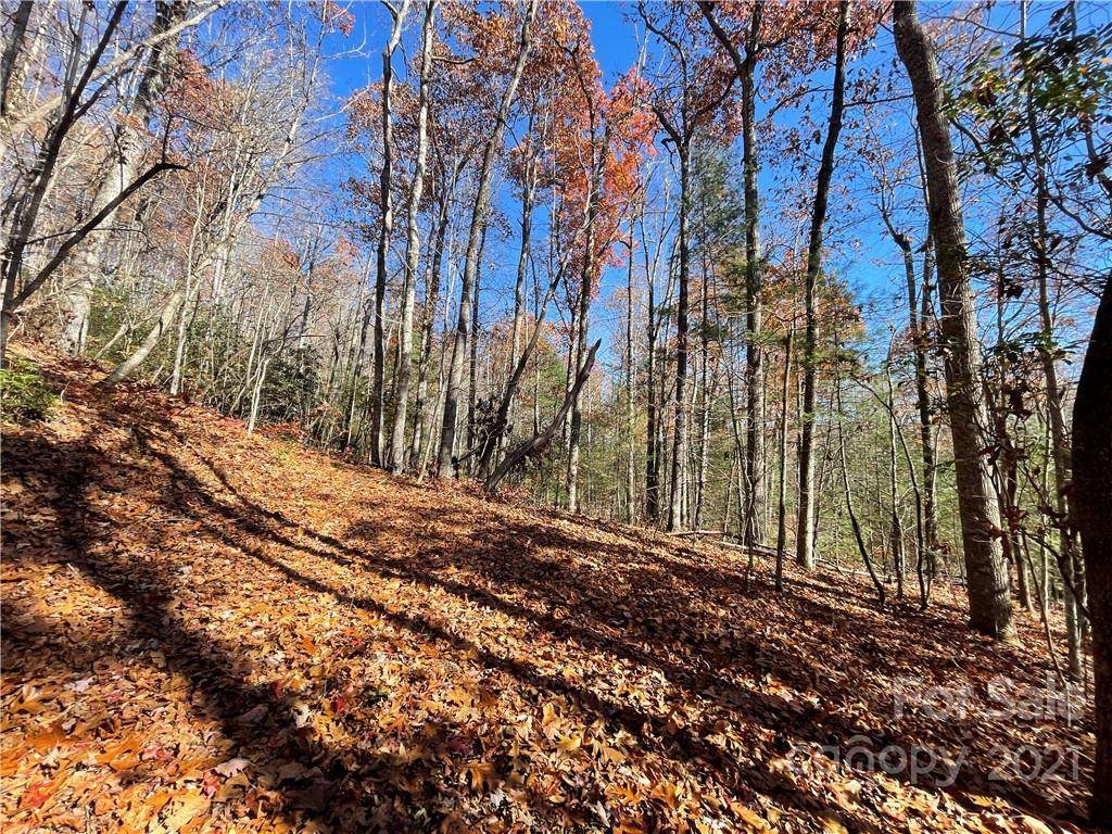 116 Green Hollow Lane - Photo 1