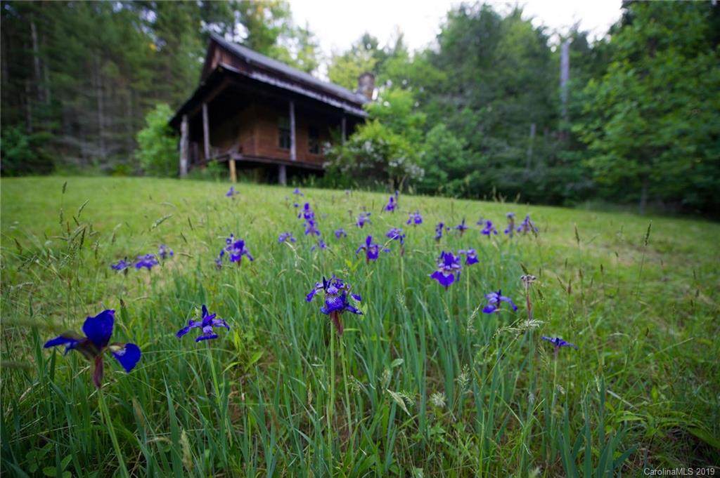 126 +/- Acres Bald Rock Road - Photo 1