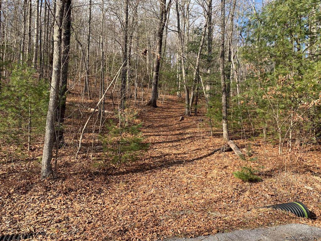 117 Green Hollow Lane - Photo 1