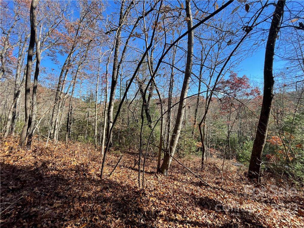 117 Green Hollow Lane - Photo 1