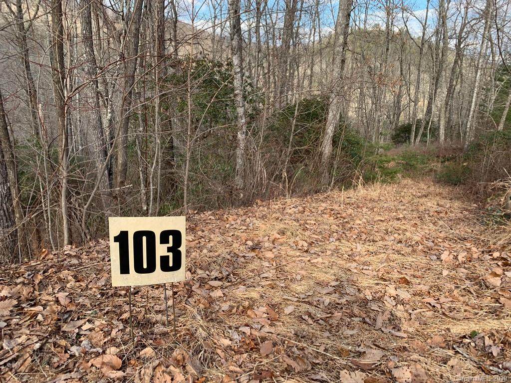 103 Laurel Thicket Lane - Photo 1