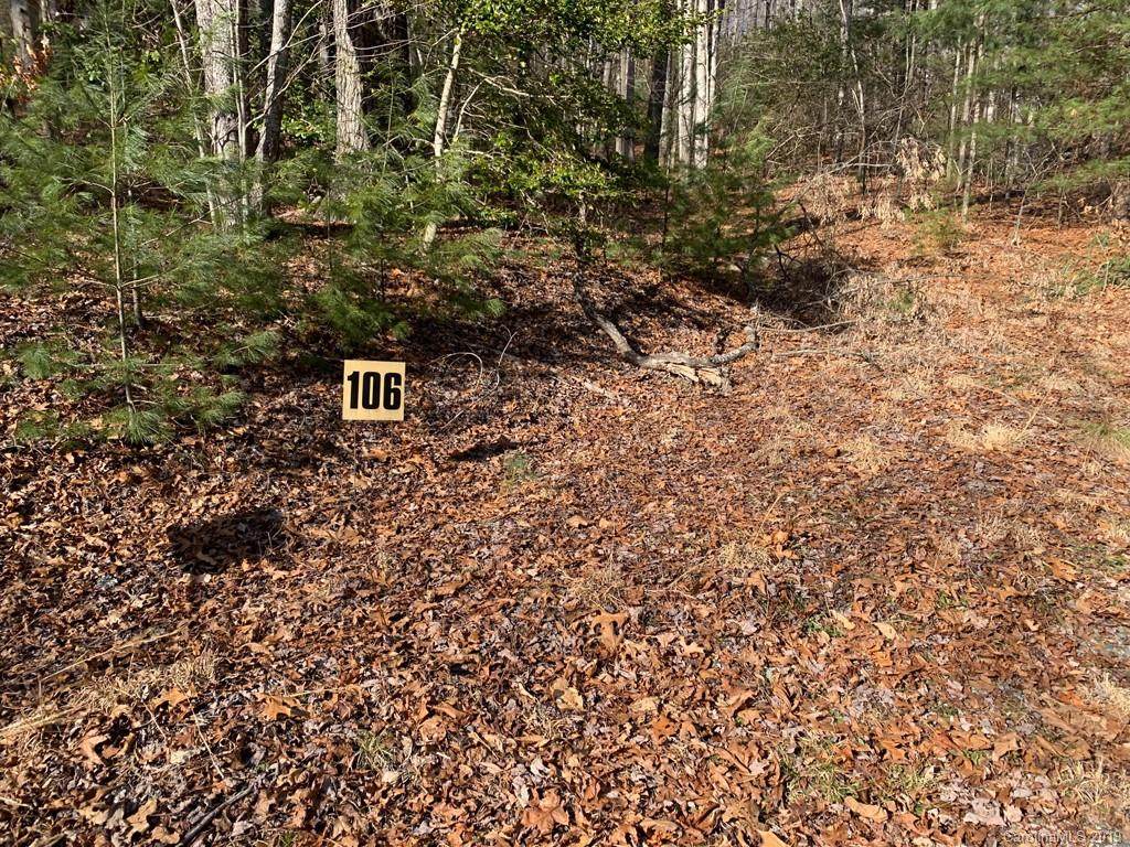 106 Green Hollow Lane - Photo 1