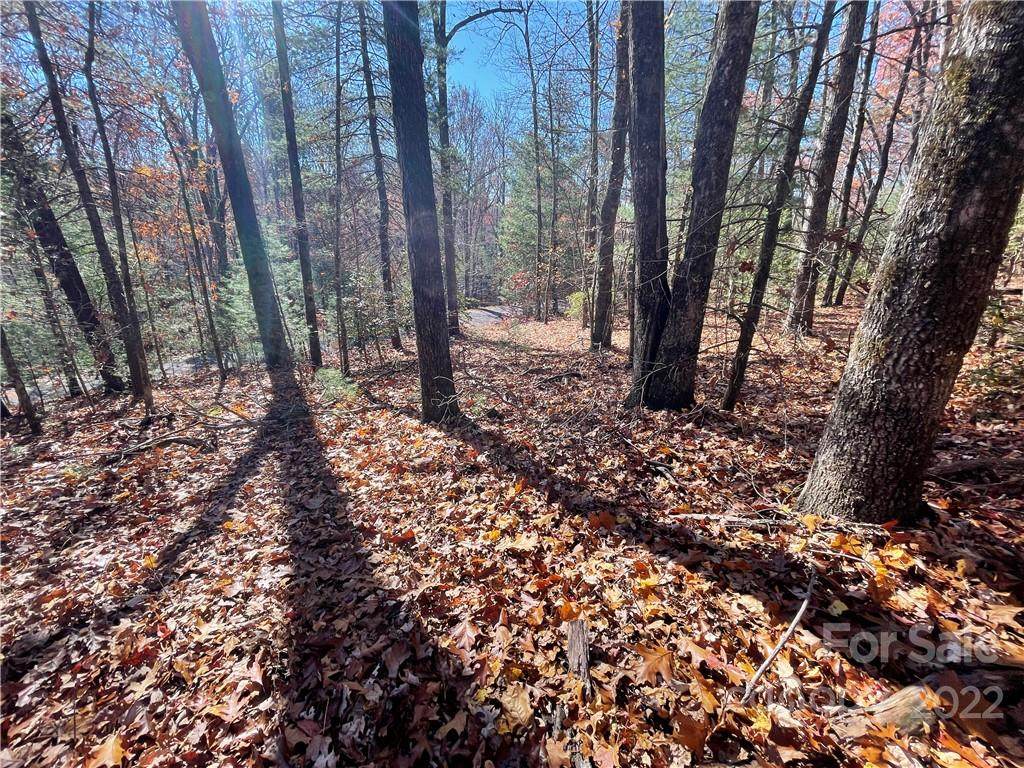 106 Green Hollow Lane - Photo 1