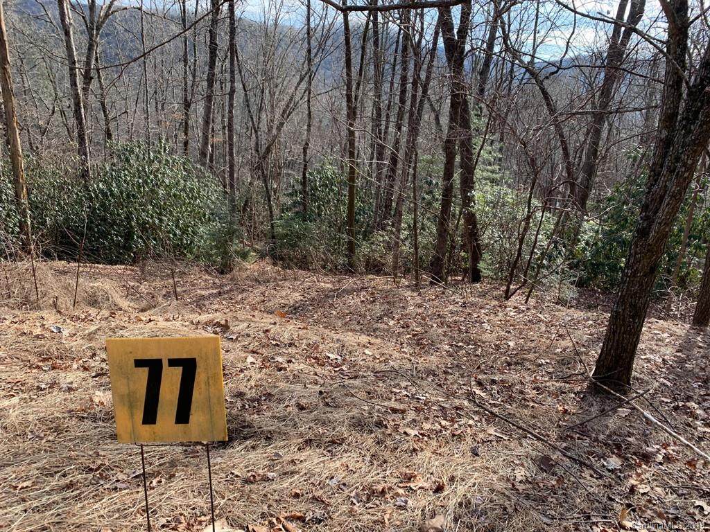 77 Laurel Thicket Lane - Photo 1