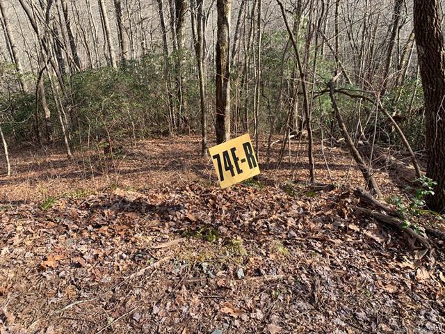 74E Lightning Path - Photo 1