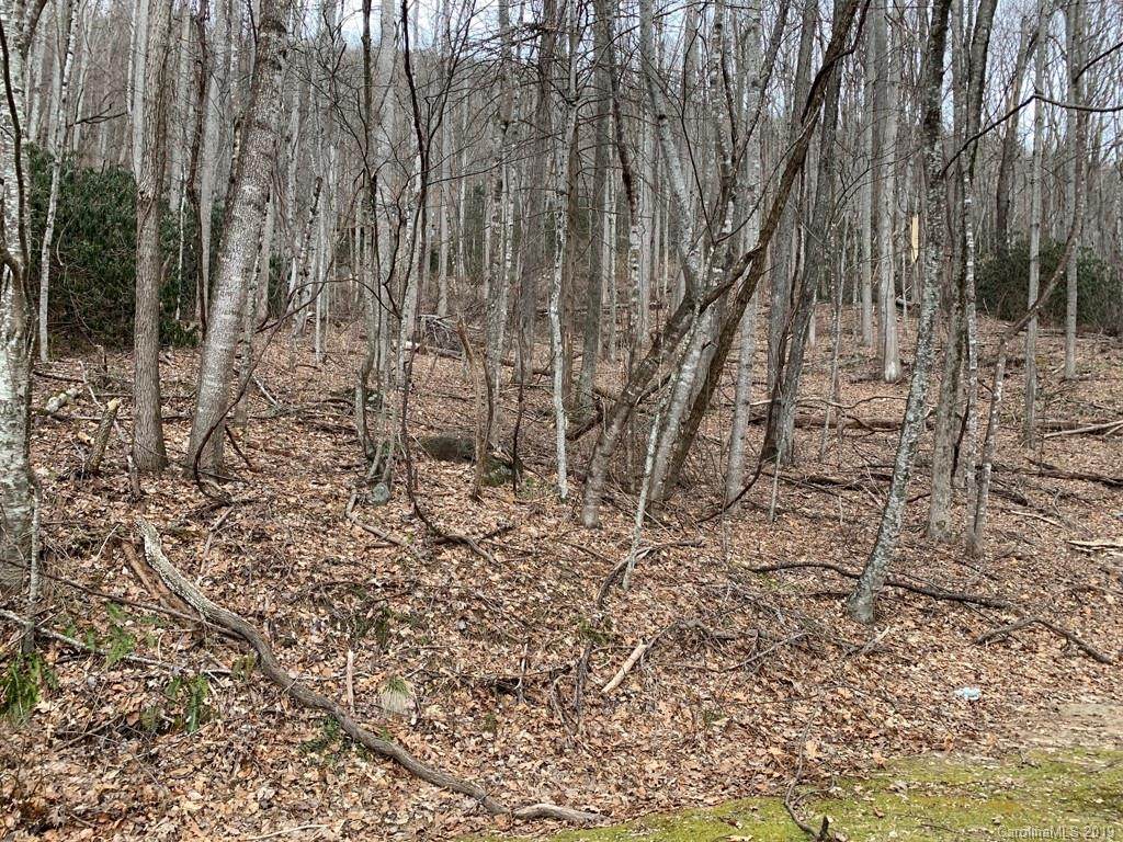 00 Sleepy Hollow Drive - Photo 1