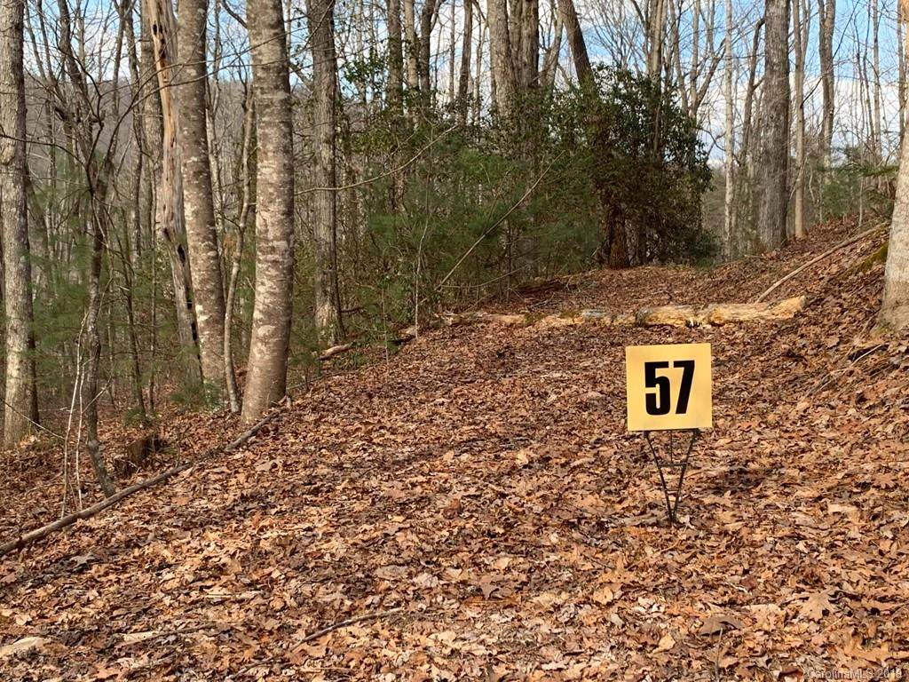 57 Big Branch Road - Photo 1