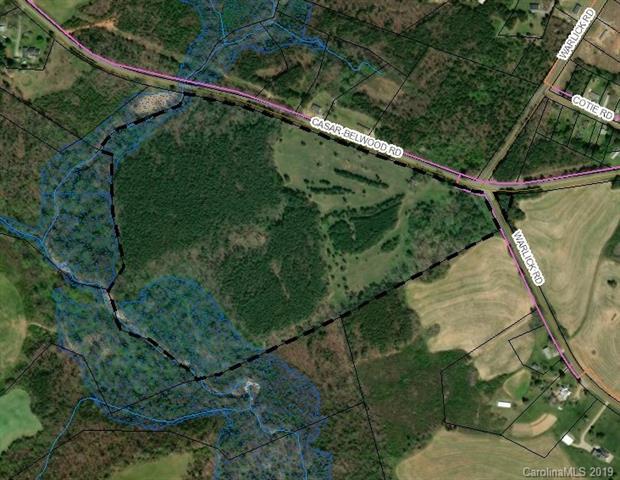 00000 Casar Belwood Road - Photo 1