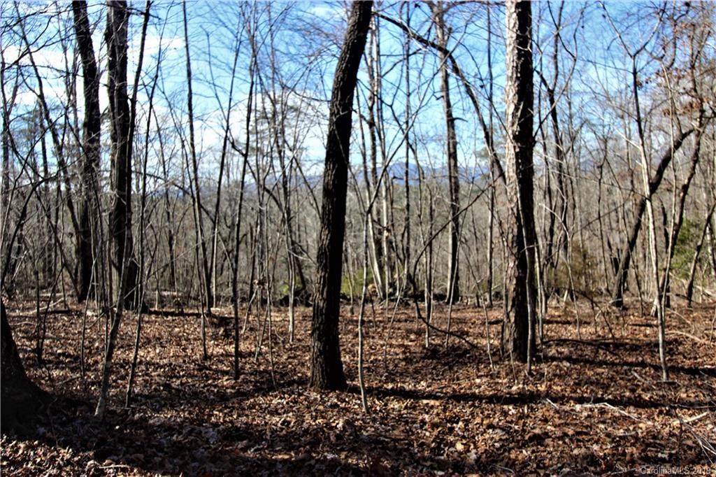 00 Millcreek Way - Photo 1