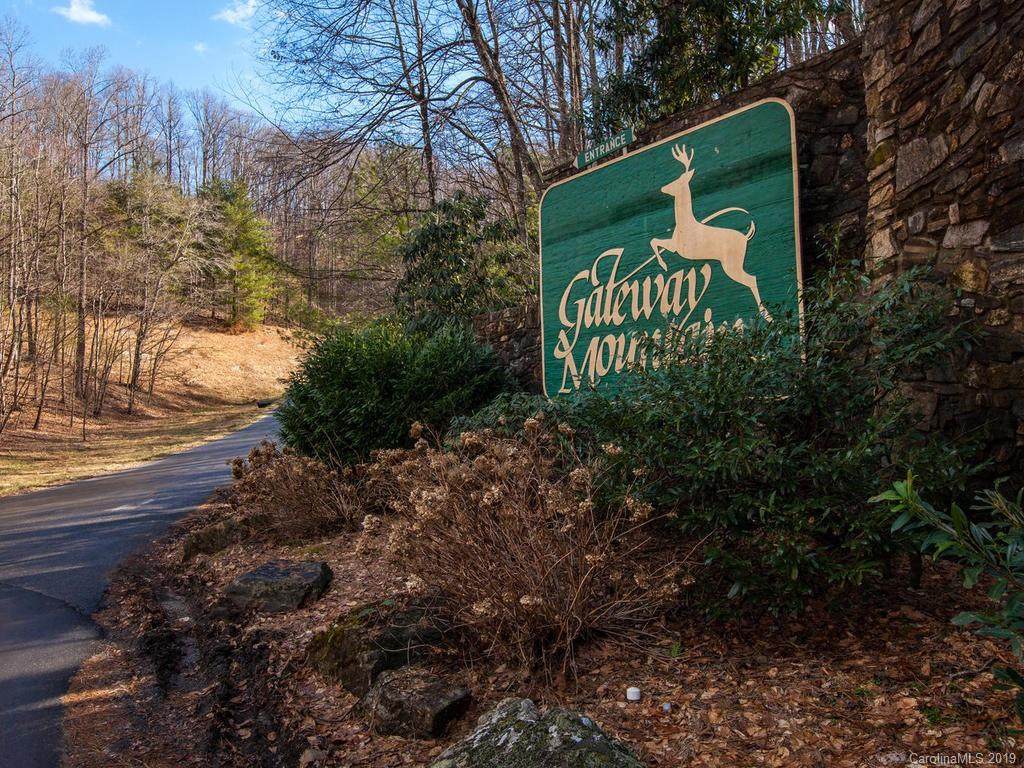 Lots 962 & 963 Bat Cave Road - Photo 1