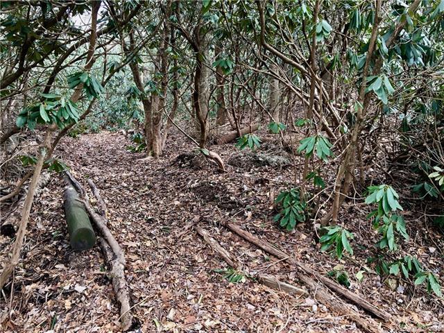 TBD Old Fort Road - Photo 1