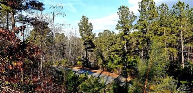 1333 Lake Vista Drive - Photo 1