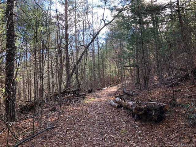 TBD Emerald Pond Cove - Photo 1
