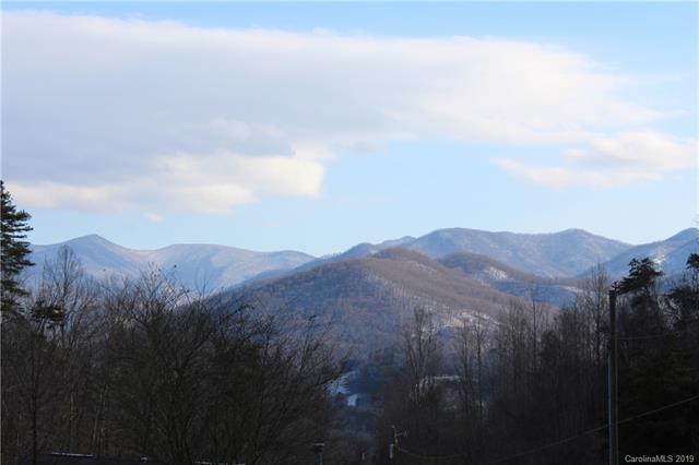 9999 (10.27 acres) Dock Branch Road - Photo 1