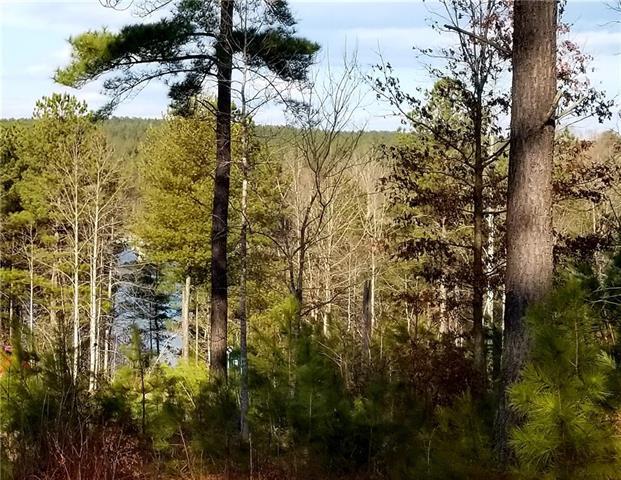 1465 Lake Vista Drive - Photo 1