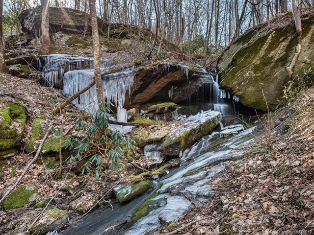 3287 Grant Mountain Road - Photo 1