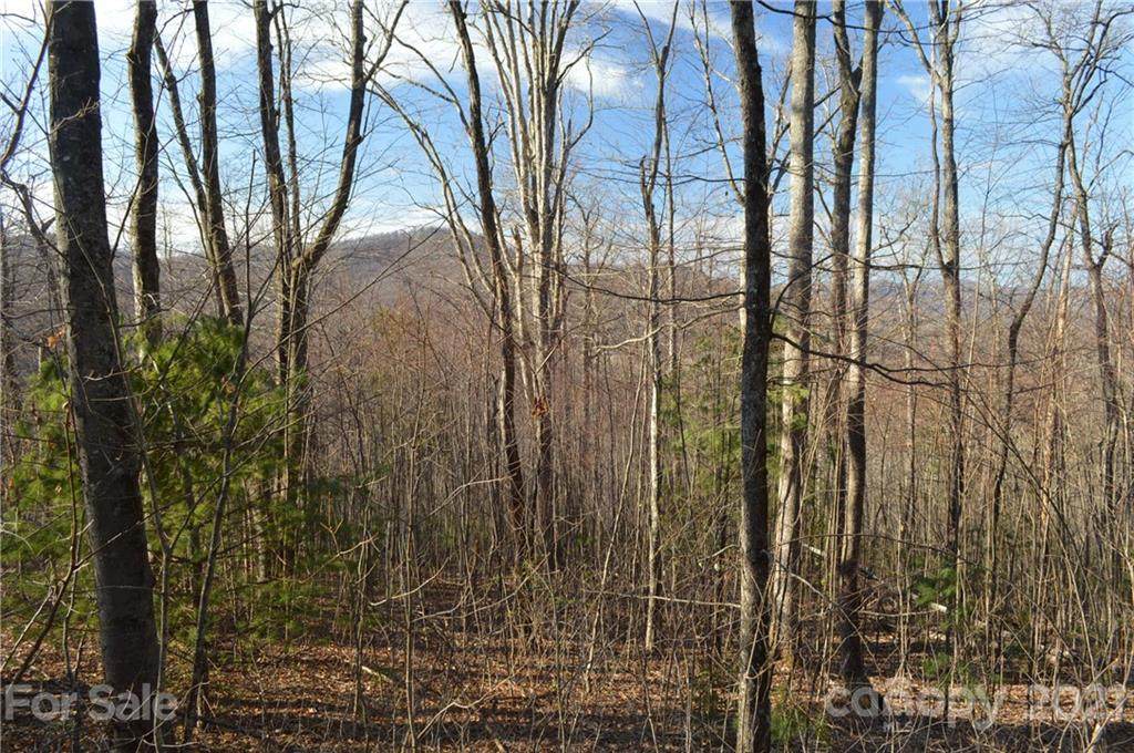 Lot 92 Corbin Mountain Road - Photo 1