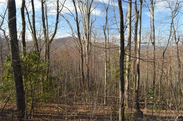 Lot 92 Corbin Mountain Road - Photo 1