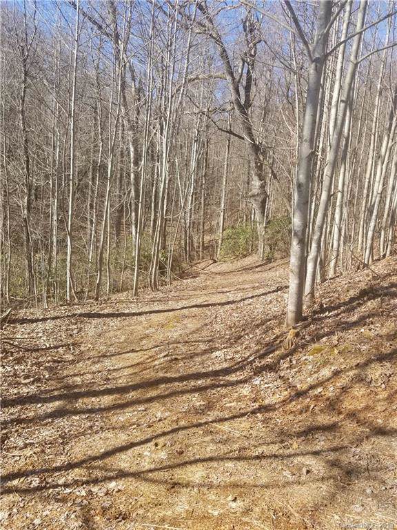 99999 Laurel Mountain Trail - Photo 1 99999 Laurel Mountain Trail - Photo 1