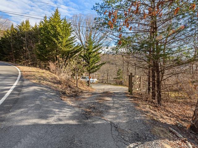 75 Flat Top Mountain Road - Photo 1