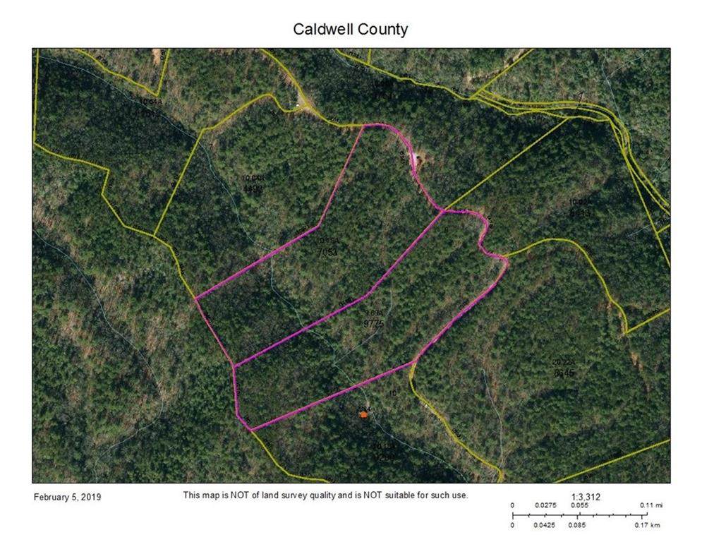 20 Acre Tract Woods Road - Photo 1