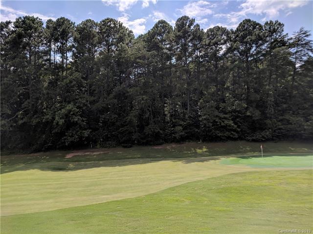 lot 5 Sheepnose Drive - Photo 1