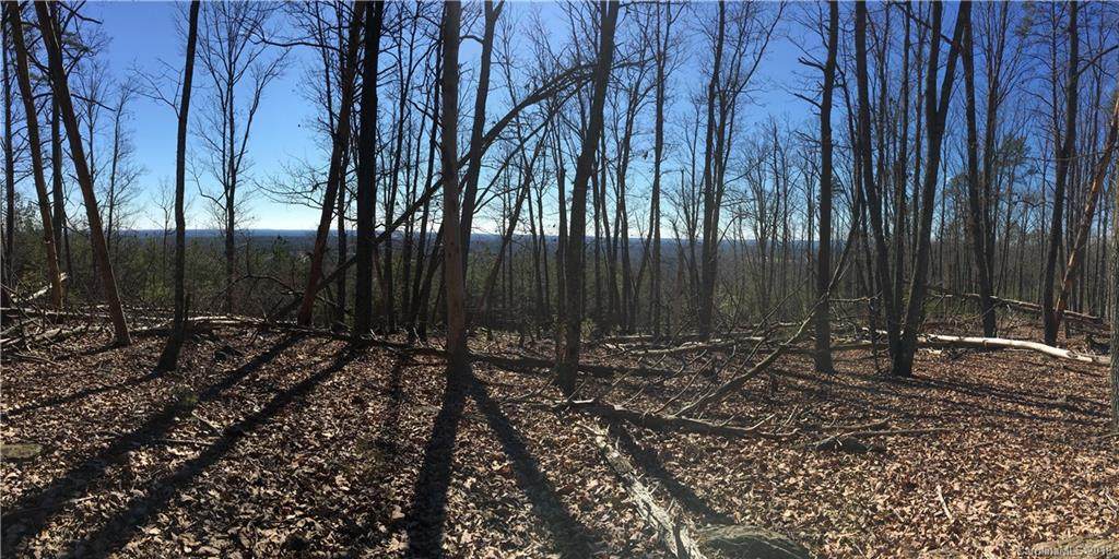 0 Bald Mountian Road - Photo 1