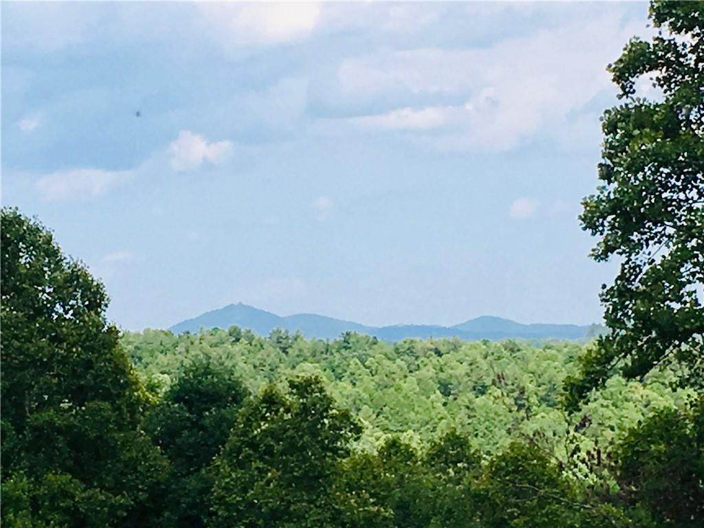 0 Round Mountain Parkway - Photo 1