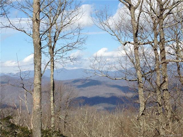 TBD Little Mountain Road - Photo 1
