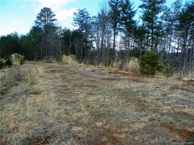 Lot 6 Reaston Ridge Road - Photo 1