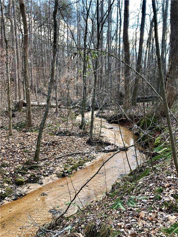 0 Potneck Road - Photo 1