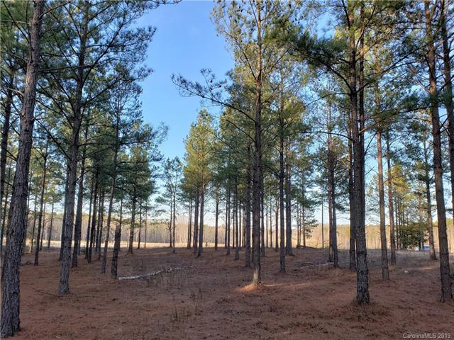 6712 Flat Creek Highway - Photo 1