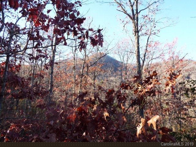 000 High Top Mountain Road - Photo 1