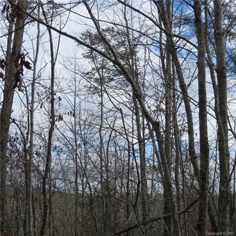 Lot 119 Whitney Boulevard - Photo 1