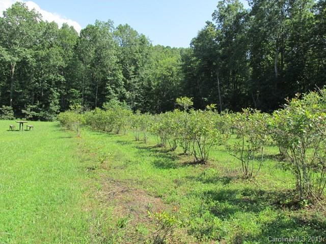 14638 Hwy 226 - Photo 1